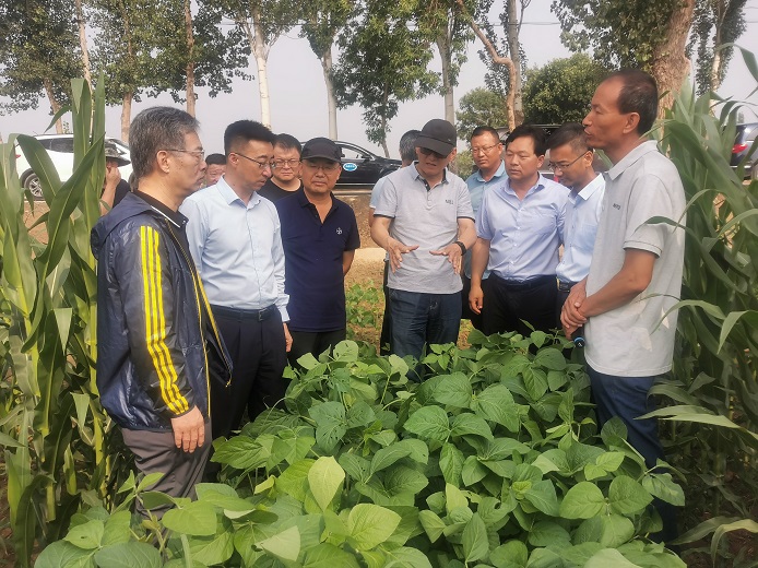 农业农村部大豆玉米带状复合种植除草剂使用调研指导组来宁调研指导