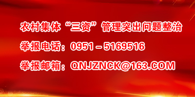 关于设立全区农业农村系统乡村振兴资金使用监管和农村集体“三资”管理突出问题专项整治投诉举报电话和邮箱的公告