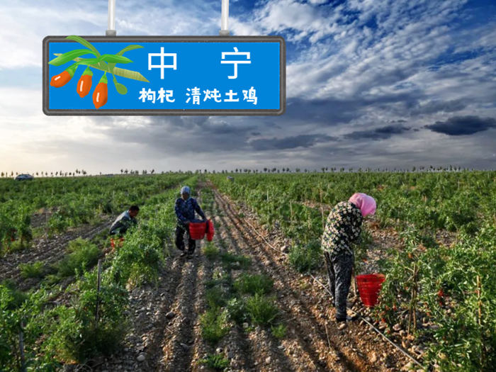 640 (30)_副本.png