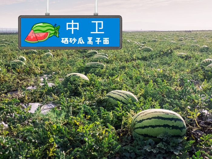 640 (34)_副本.png