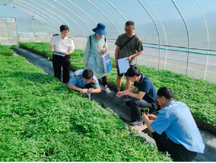 (农业技术推广总站  杜伟  摄)